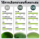 Shonmisen visp for Matcha tea thumbnail