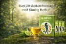 Slankende tysk urtebasert Burn Diet Slim Fit Fast Detox 50 poser thumbnail