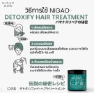Nigao Detoxify Hair Treatment thumbnail