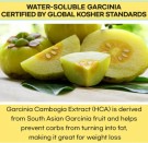 YoYoCut fra Slim Planet med Transglutaminase - for deg som vil raskt ned i vekt thumbnail