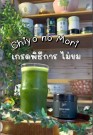 Llamito Matcha Chiyo No Mori Ceremonial Grade thumbnail