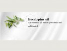 Dok Bua Ku (twin Lotus) original toothpaste, fluorfri thumbnail
